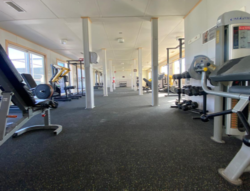 SQM – Musculatura 10 mm